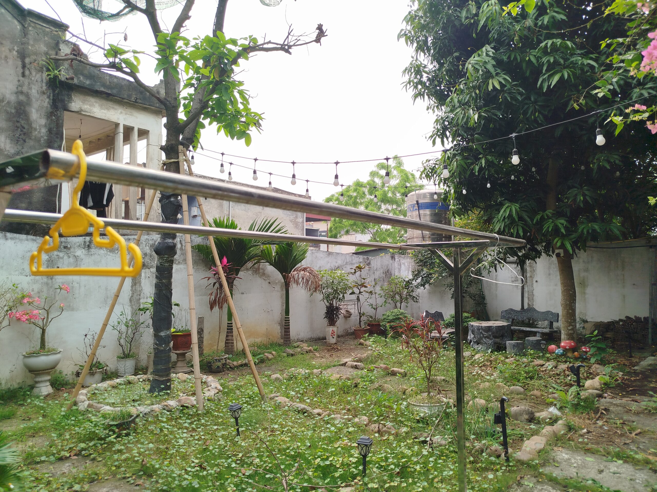 A317 - Ảnh 13